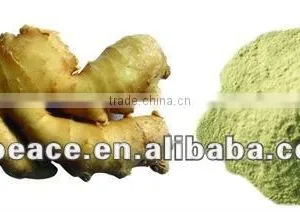Exporting Delicious Ginger Powder With Perfect Quality thumbnail-1