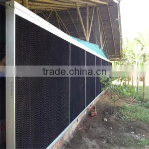 Agricultural Automatic Poultry Farm Machinery Equipment For Raising Broiler Chicken Birds thumbnail-4