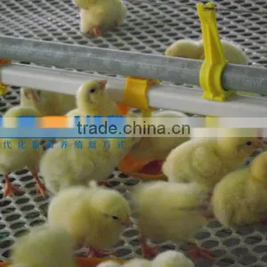 Bangchi Whole Poultry Farming Equipment for Chicken Machine thumbnail-6