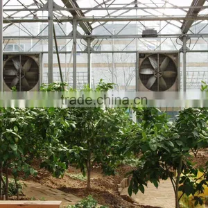 Greenhouse Evaporative High Quality Wall Mounted Cooling Unit System thumbnail-1