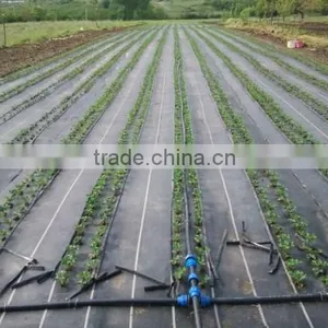Black Plastic Weed Barrier Fabric thumbnail-3