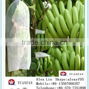 Non-woven Fruit Insect-resistant Bags, Nonwoven Bag of Banana ,Non Woven Bag of Grapes thumbnail-3
