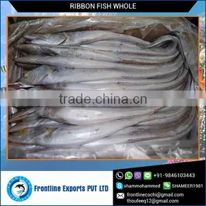 High Quality Frozen Ribbonfish Supplier at Lowest Price thumbnail-1