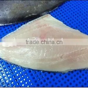 Frozen Brama Fillet thumbnail-1