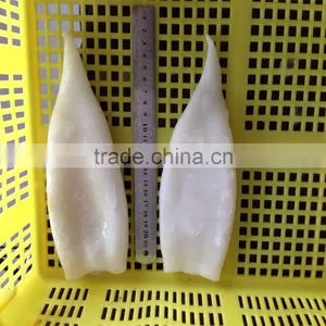 High Quality Pacific Squid Tube (Todarodes Pacificus) thumbnail-3