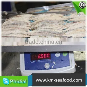 Frozen Mackerel Loin thumbnail-2