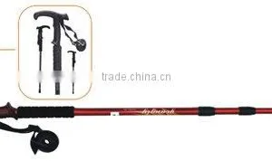 Walking Stick thumbnail-1
