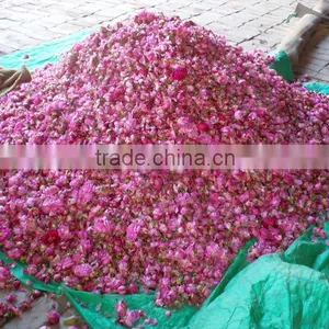 Rose Oils , Rosa Damascene, thumbnail-1