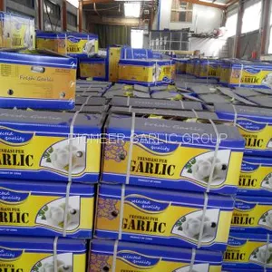 5-5.5cm Fresh Normal White Garlic In 10kg Carton Box Packing thumbnail-4