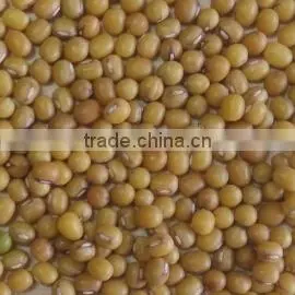 Organic Yellow Mung Bean thumbnail-1