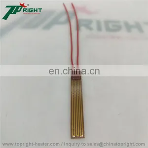 5V Battery Powered Heating Element,Customize 3.7v 5v 7.4v 9v 12v 24v 36v 48v 60v Polyimide Film Heater thumbnail-5