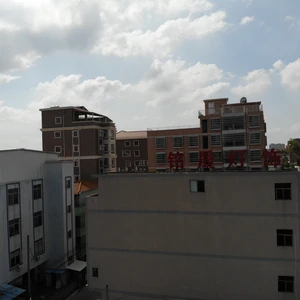 Dongguan Mingsheng Lightng Co Ltd company overview - view 1 thumbnail