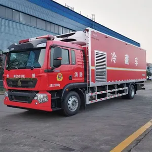 Export Heavy-duty HOWO Refrigerated Truck, 7.2 Meters Long, With a 250 HP Diesel Engine, Container thumbnail-5
