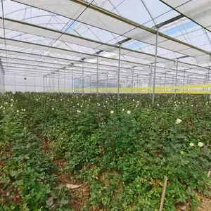 Specializing In The Production Thermal Sensitive Agriculture Sun Shade Net Cover Cloth For Plant thumbnail-1