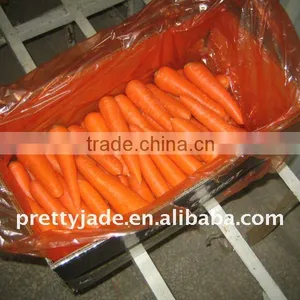 2014 New Crop Chinese Fresh Carrot thumbnail-1