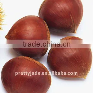 China Fresh Peeled Chestnut thumbnail-1