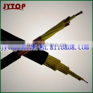 450/750V Pvc Insulsted Screen Control Cable thumbnail-1