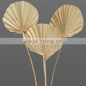 Palm Round Stick thumbnail-1