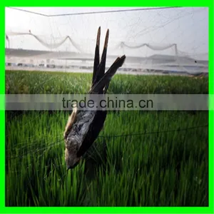 Anti Insect Bird Net for Grape Vines thumbnail-5