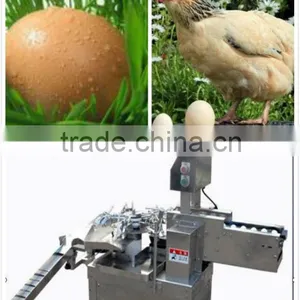 China 2013 Automatic 3000pcs/h Stainless Egg Breaking Machine/egg Breaker(008613823737025) thumbnail-1