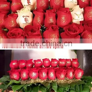 Digital Red Rose Printer,printe White Ink on Flowers,beautiful Flower Printer thumbnail-4