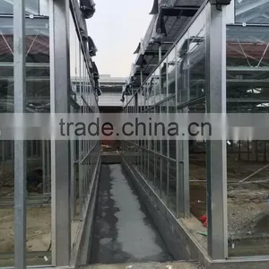 2016 New High Quality Toughened Glass Greenhouse for Arriculture thumbnail-3
