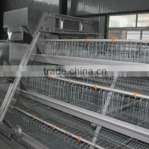Galvanized Material Welded Wire Mesh Cage for Quail thumbnail-1