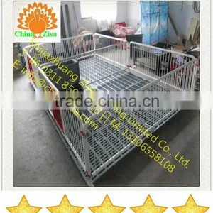 Pig Farming Equipment thumbnail-1