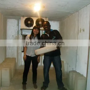 Containerized Block Ice Machine Hot Sale in Africa thumbnail-1