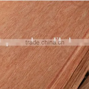Rotary Cut Bintangor Wood Face Veneer for Plywood thumbnail-2