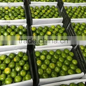 Fresh Mandarin Oranges in 2016 New Crop Sweet for Sale 9kg/box thumbnail-2