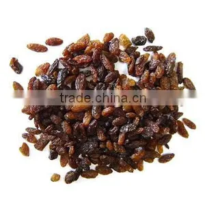 Oiled Raisins thumbnail-1