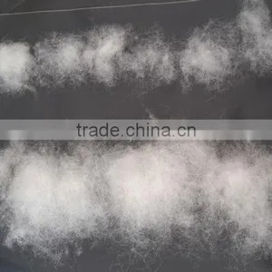 Chinese Best Quality of Dehaired Sheep Cashmere 20.5mic,40-50mm Raw White Color,substitute of Carbonized Wool thumbnail-2