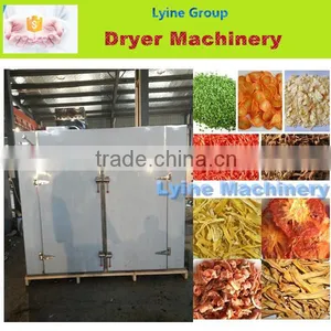 Lyine Machinery for Sale Professional Industrial Fruit Dehydrator thumbnail-1