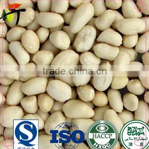 New Crop Blanched Peanut thumbnail-1