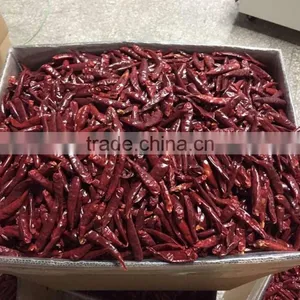 TianYing Chili Pepper thumbnail-3