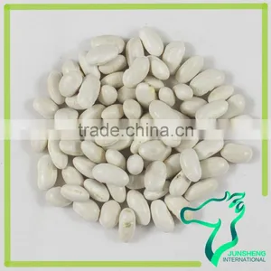 Wholesale Chinese Supply All Types Of White Kidney Beans thumbnail-1