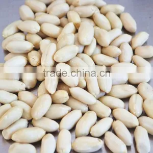 Long Type Blanched Peanut Kernel thumbnail-1