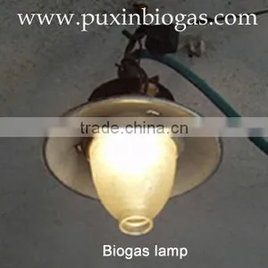 Efficient Biogas Light thumbnail-1