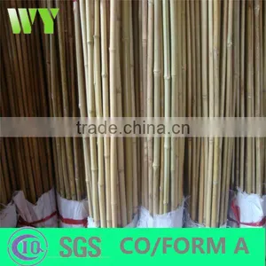 WY-218 Natural Dry High Quality Bamboo Poles Holder/tree in Raw Materials for Sale thumbnail-1