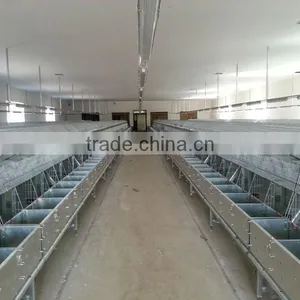 Rabbit Raising Equipment thumbnail-1