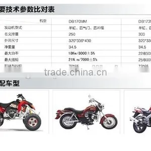 Engine Parts for DB250 300cc 4 Valve Water-Cooled Dongben Engine (173MN-1) thumbnail-2