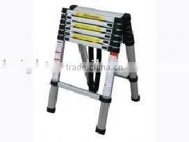 Folding Ladder thumbnail-1