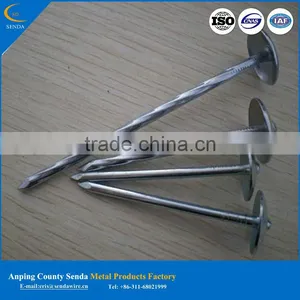 Roofing Nail Made in China 2016 Hot New Product thumbnail-1