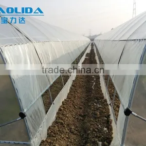 Polythene Film Solar Greenhouse For Vegetables thumbnail-1