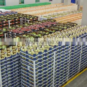 Used Prefabricated Vegetable Warehouse Buildings for Sale thumbnail-4