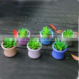Whosale Various Colours Smail Decoration Ceramic Flower Pots With Hole for Succulent Plant thumbnail-1