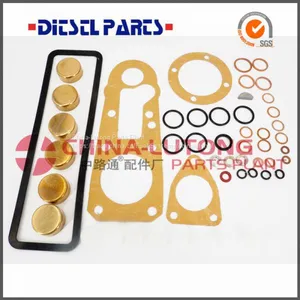 Wholesales Repair Kit 1 417 010 003/800006 For Pump Rebuild Kit On High Quality thumbnail-1