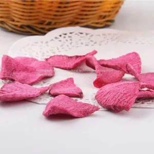 Fruit Radish Chips/Fruit Radish Chips OEM thumbnail-4