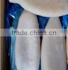 Hot Sale Calamari Tube/Frozen Squid Tube thumbnail-1